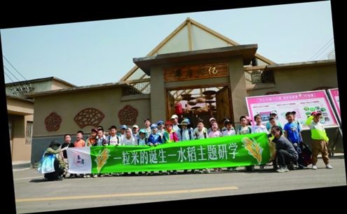 席庄村“一粒米的世界”水稻主题研学活动